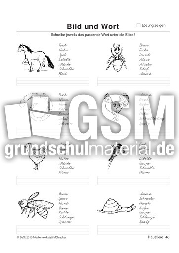 BuW Haustiere48.pdf